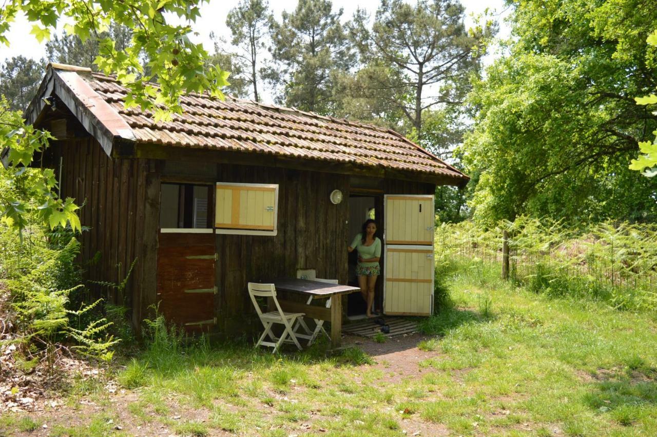 Cabane en forêt Onesse-et-Laharie Exterior foto