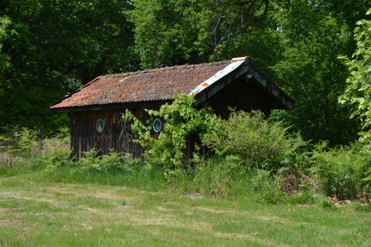 Cabane en forêt Onesse-et-Laharie Exterior foto